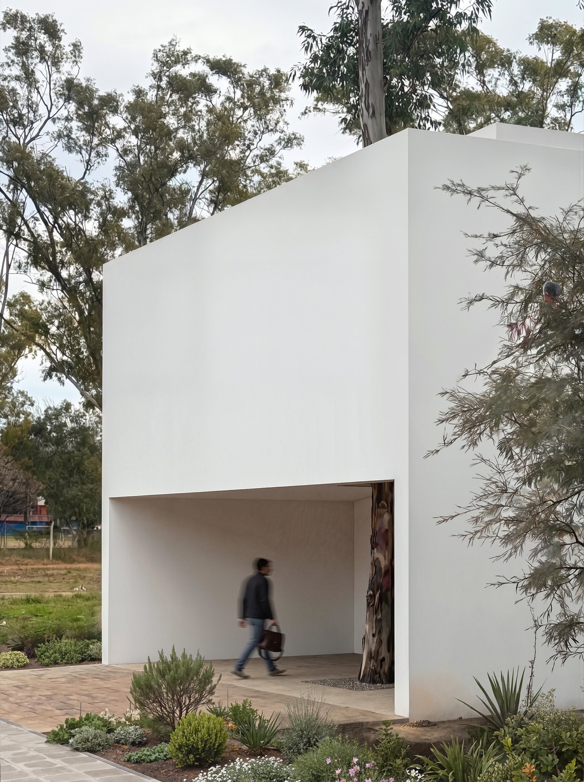 NUMA1 — Ingreso con el árbol existente